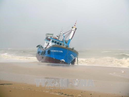 Chủ động ứng phó với bão số 12 và mưa lũ lớn sau bão ảnh 1